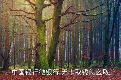 中國(guó)銀行微銀行 無(wú)卡取錢怎么取