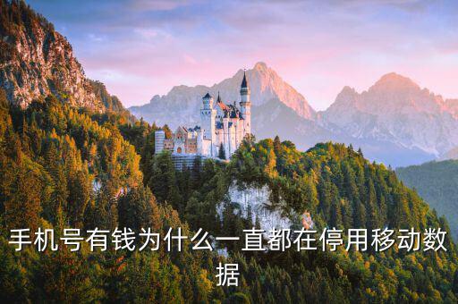 鏈動數(shù)據(jù)為什么有錢，廣東鏈動為什么那么多人認同和喜歡