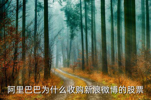 新浪微博為什么在盈利后才上市，新浪微博為何上市
