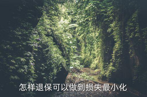 什么辦法能退保險(xiǎn)不損失，退保怎樣能減少損失