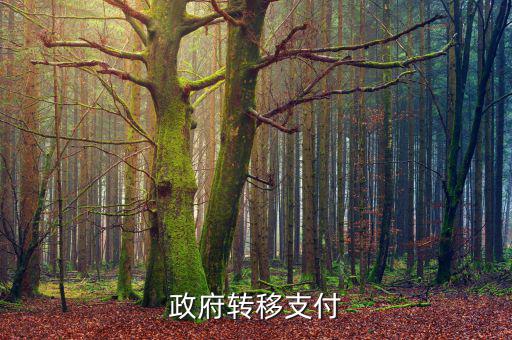 為什么政府提供實(shí)物轉(zhuǎn)移支付，一個(gè)國家為什么要執(zhí)行轉(zhuǎn)移支付制度