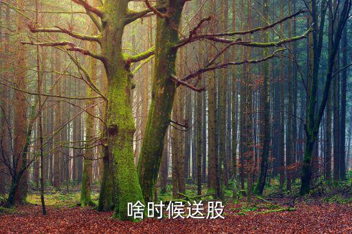 鐵嶺新城什么時(shí)候送股，大家都說它出的中報(bào)好但我不知道怎么看我只想問問什么么時(shí)候