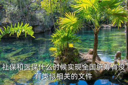 社保和醫(yī)保什么時(shí)候?qū)崿F(xiàn)全國(guó)統(tǒng)籌有沒(méi)有類(lèi)似相關(guān)的文件