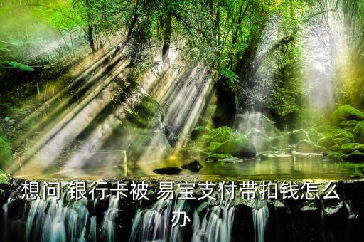 銀行卡轉賬被騙到易寶怎么辦