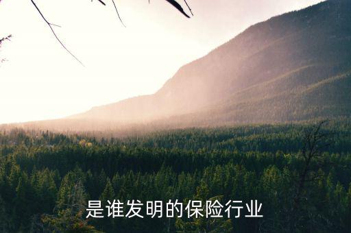 世界上第一家保險(xiǎn)公司是什么，哪位朋友可以說(shuō)一下世界保險(xiǎn)發(fā)展史