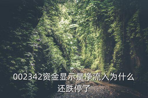 資金凈流入為什么還跌停，資金凈流入怎么還跌停了