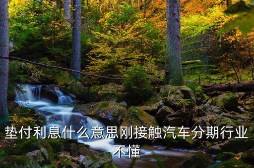 墊付利息是什么意思，紅利保險(xiǎn)會自動墊付期間會出利息