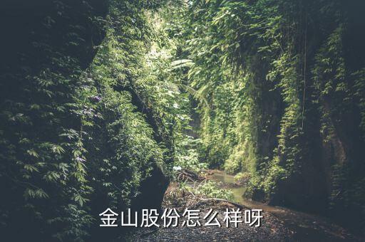 為什么沒(méi)人關(guān)注金山股份，金山股份怎么樣呀