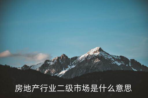 什么是二級(jí)行業(yè)，會(huì)計(jì)中所說(shuō)的一級(jí)二級(jí)市場(chǎng)是指什么