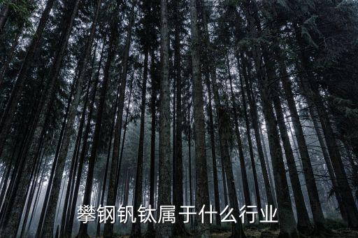 釩鈦產(chǎn)業(yè)屬于什么行業(yè)，攀鋼釩鈦屬于什么行業(yè)