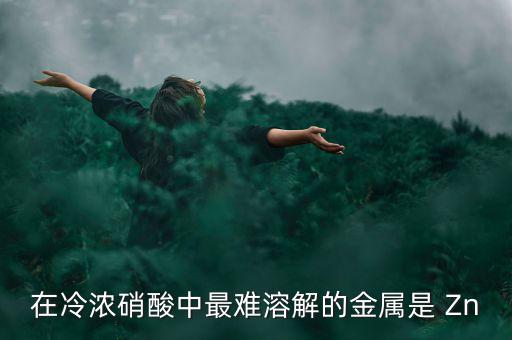 什么金屬易融難化，最不容易融化的金屬是什么想對來說便宜一點的是什么