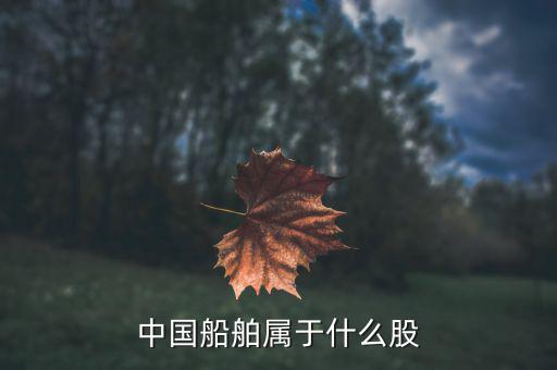 中國(guó)船舶是什么板塊，中國(guó)船舶原始股每股多少人民幣
