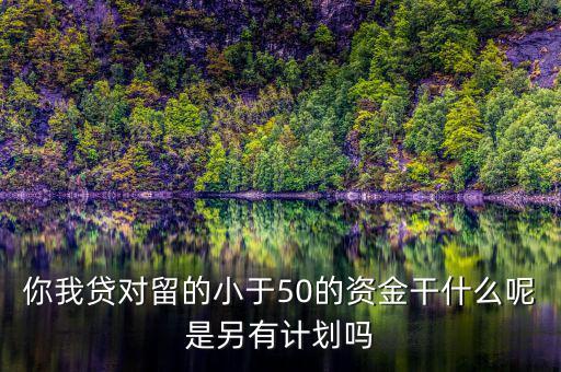 你我貸為什么我要投2萬才能減50，你我貸對留的小于50的資金干什么呢是另有計劃嗎