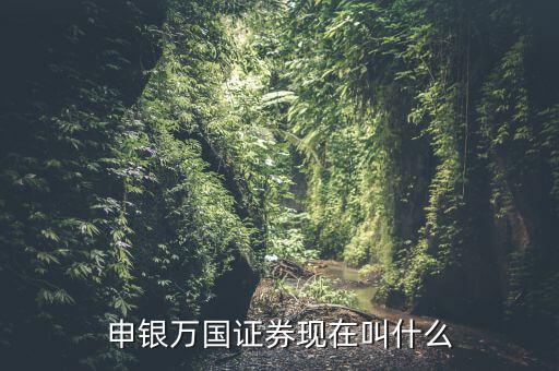申銀萬國并什么證券公司了，申銀萬國證券現(xiàn)在叫什么