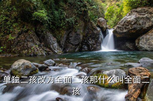 什么是全面二孩，全面開放生二胎指什么