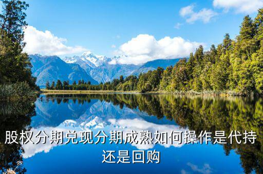 什么叫股權(quán)成熟期，VCPE什么意思