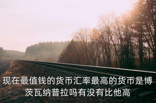 博茨瓦納普拉貨幣為什么這么貴，現(xiàn)在最值錢的貨幣匯率最高的貨幣是博茨瓦納普拉嗎有沒有比他高