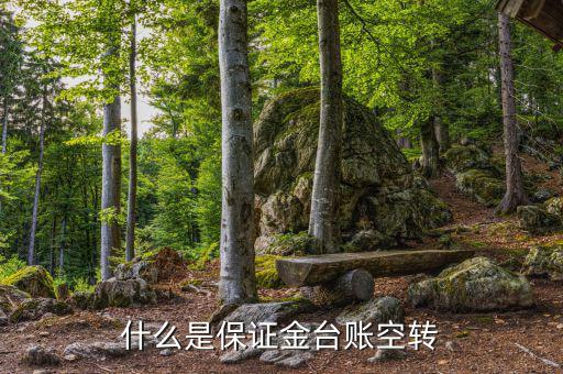 什么是資金空轉(zhuǎn)，資金沖轉(zhuǎn)的含義是什么名詞解釋