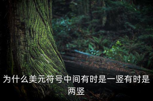 比美元符號(hào)多一豎是什么，一個(gè)很像美元的符號(hào) 但是那一豎是不貫穿S的 也就是S上面有一小豎