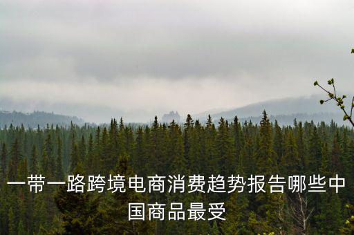 一帶一路跨境電商消費(fèi)趨勢報(bào)告哪些中國商品最受