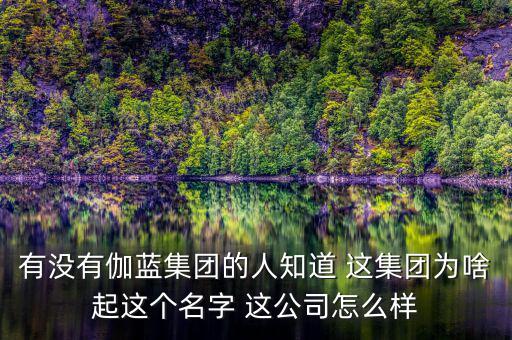 伽藍(lán)集團(tuán)為什么不上市，伽藍(lán)集團(tuán)是一家什么企業(yè)
