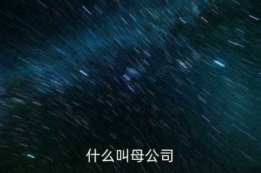 財務(wù)報告中母公司是什么意思，財務(wù)報表中的合并與母公司是什么意思