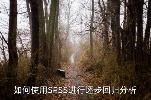 逐步回歸用什么軟件，關(guān)于spss相關(guān)分析和逐步回歸分析之間的一些疑問