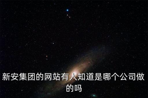 新安股份做什么的，新安集團的網(wǎng)站有人知道是哪個公司做的嗎