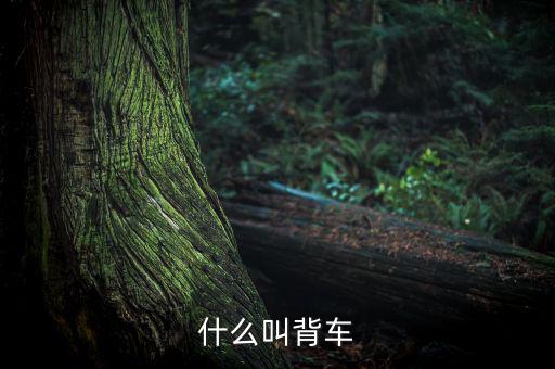 汽車背上叫什么來的，艙背車為何物