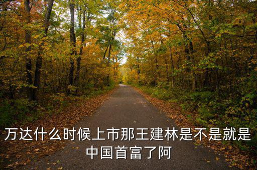 萬達(dá)什么時(shí)候上市那王建林是不是就是中國首富了阿