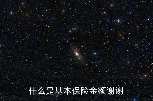 什么叫基本保險金額，基本保險金額是什么意思