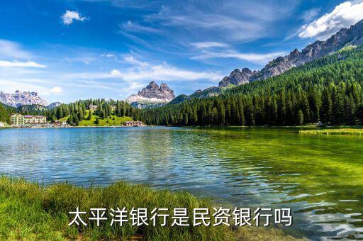 民資為什么銀行，太平洋銀行是民資銀行嗎