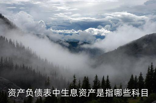 什么是生息負(fù)債，什么是速動(dòng)資產(chǎn)流動(dòng)負(fù)債和生息債務(wù)