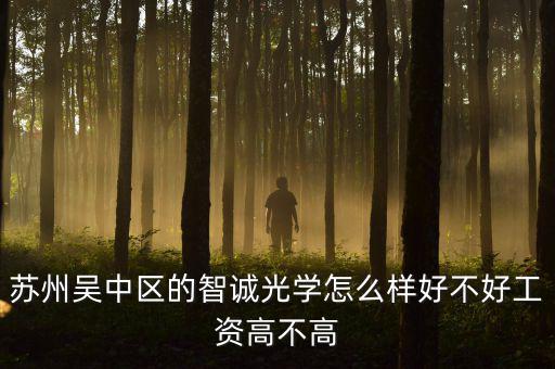 智誠光學(xué)里面主要生產(chǎn)什么，蘇州智誠光學(xué)公司怎么樣