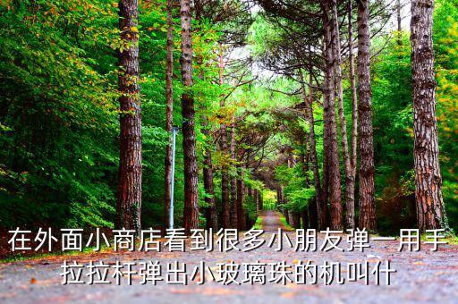 日本彈珠機(jī)叫什么，求助日語(yǔ)大神一個(gè)詞謝謝