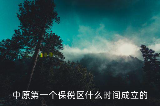新泰保稅區(qū)什么時間投建，中原第一個保稅區(qū)什么時間成立的
