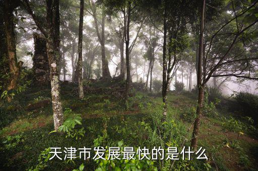 天津靠什么發(fā)展，天津市發(fā)展最快的是什么