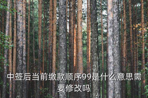 繳款順序99是什么意思，99是什么意思