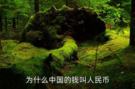 中國的貨幣為什么叫人民幣，為啥中國的錢叫人民幣