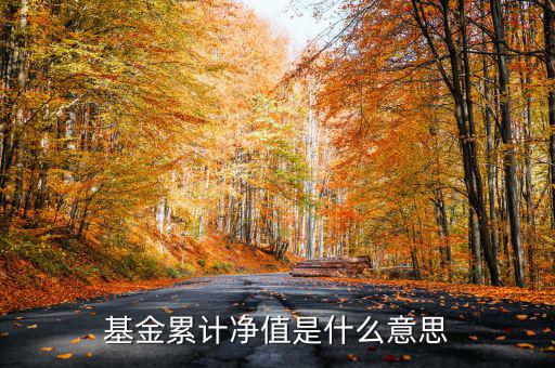 基金累計凈值是什么意思，基金凈值累計凈值各指什么