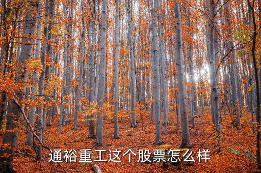 通裕重工是什么板塊，通裕重工這個(gè)股票怎么樣