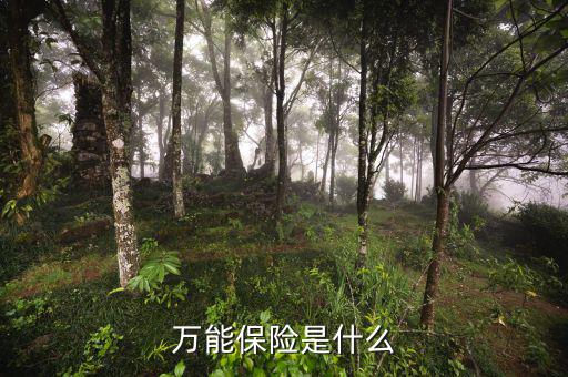 萬能壽險(xiǎn)是什么意思，萬能保險(xiǎn)是什么