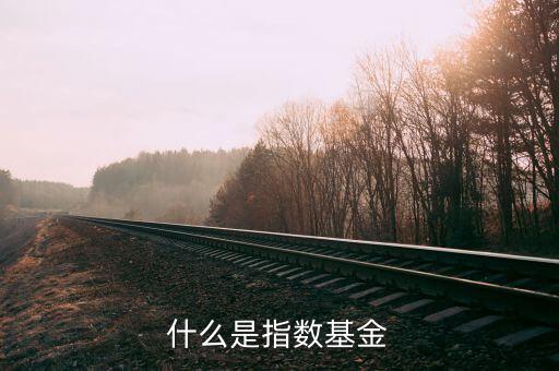 什么是指數(shù)基金，什么是指數(shù)基金