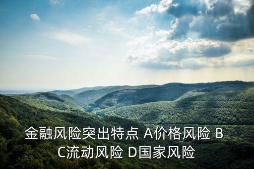金融風(fēng)險有什么特征，試述國際金融風(fēng)險的特征