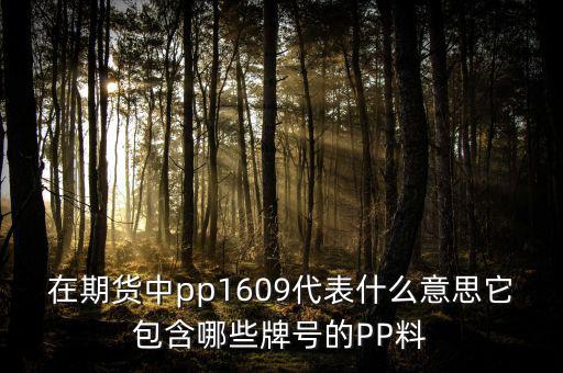 大商所的塑料指數(shù)是什么意思，請(qǐng)問在同花順期貨軟件中的塑料指數(shù)I888反而我在大商所卻找不到了