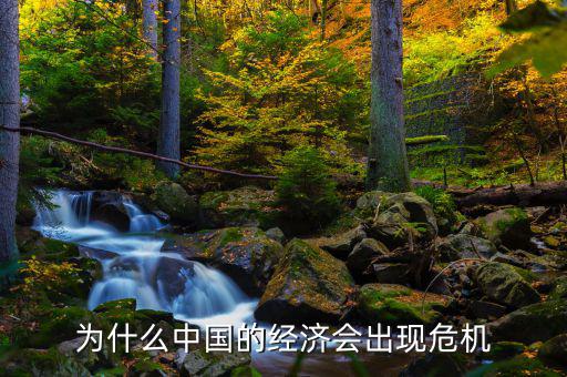 為什么中國將發(fā)生經(jīng)濟危機，中國為什么會面臨經(jīng)濟危機