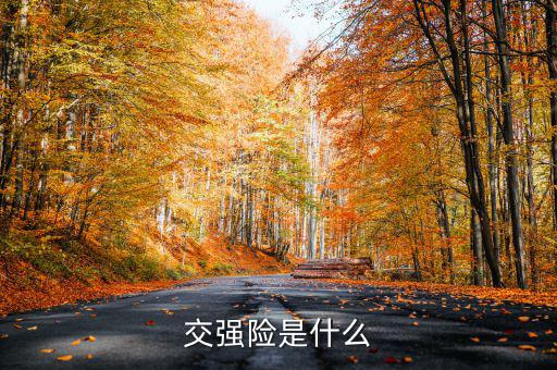 什么是交強(qiáng)險(xiǎn)，交強(qiáng)險(xiǎn)是什么