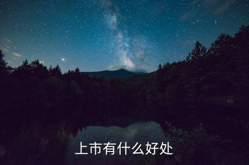 上市有什么好處，上市公司有什么好處