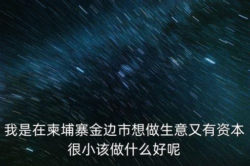 柬埔寨投資100萬元能干什么，我是在柬埔寨金邊市想做生意又有資本很小該做什么好呢