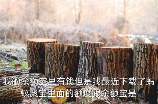 有什么軟件像存金寶那樣的，類似支付寶的理財產(chǎn)品有哪些